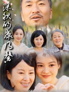 深秋的康乃馨(全集)