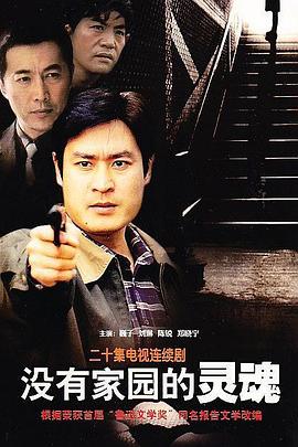 没有家园的灵魂第12集