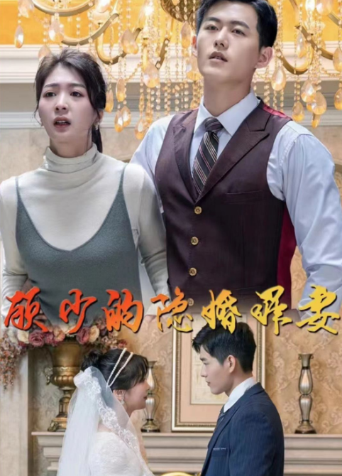 顾少的隐婚罪妻第88集