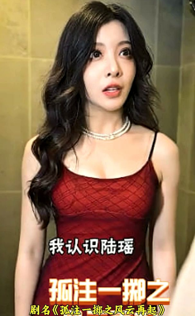 孤注一掷之风云再起1-20集